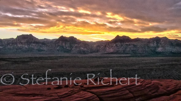 New Horizons for LivingVertical!