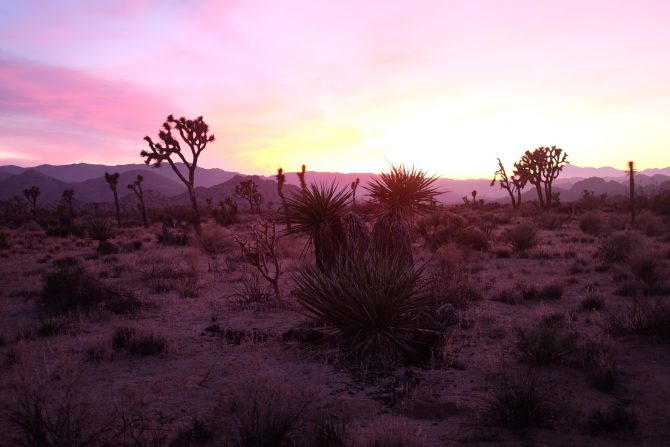 type 1 diabetes outdoor adventure meetup