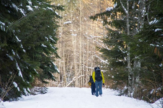 hiking and type 1 diabetes in vancouver squamish British Columbia