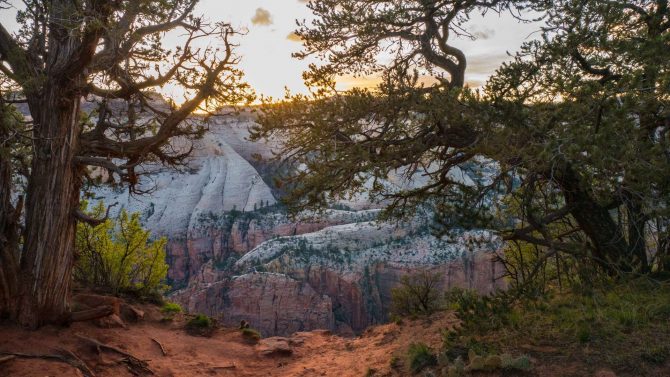 hiking observation point in Zion National Park