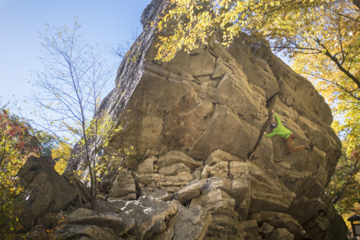 You can call me diabetic