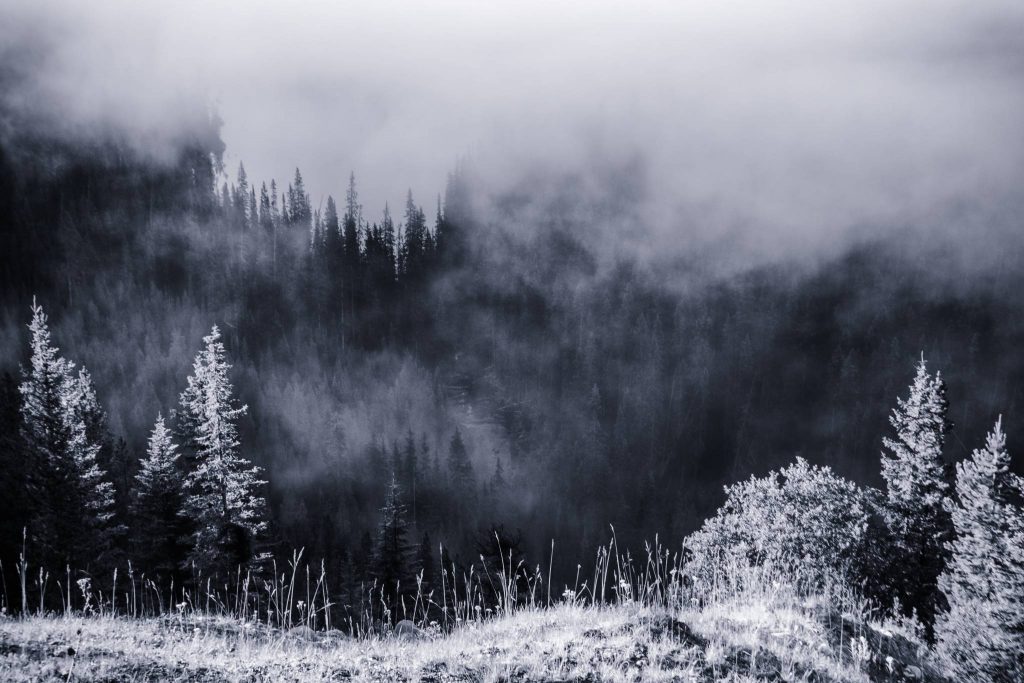 fuji 35mm f2 WR lens